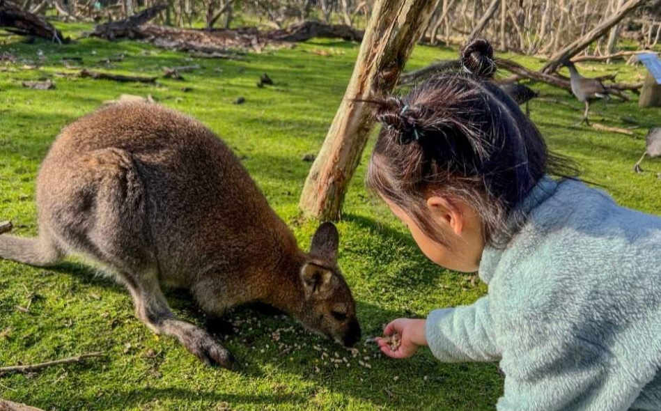 202512111006-1758140963.png image.png