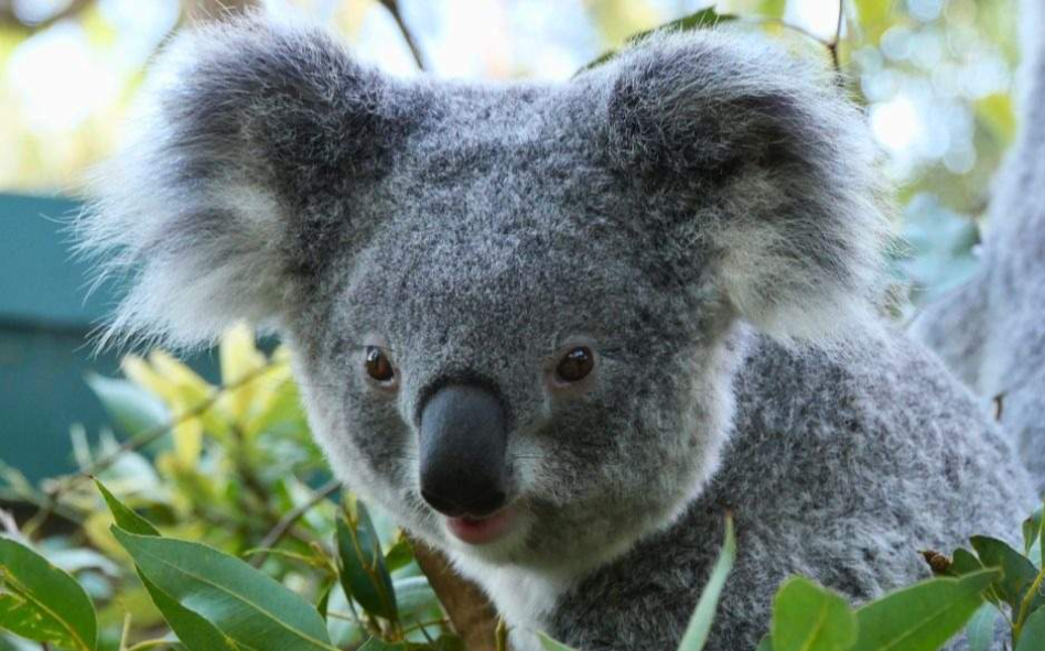 202512111006-9795779136.png image.png