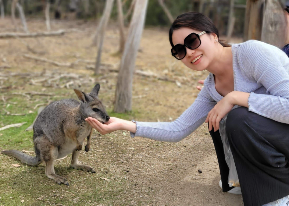 202512111007-1034144738.png image.png