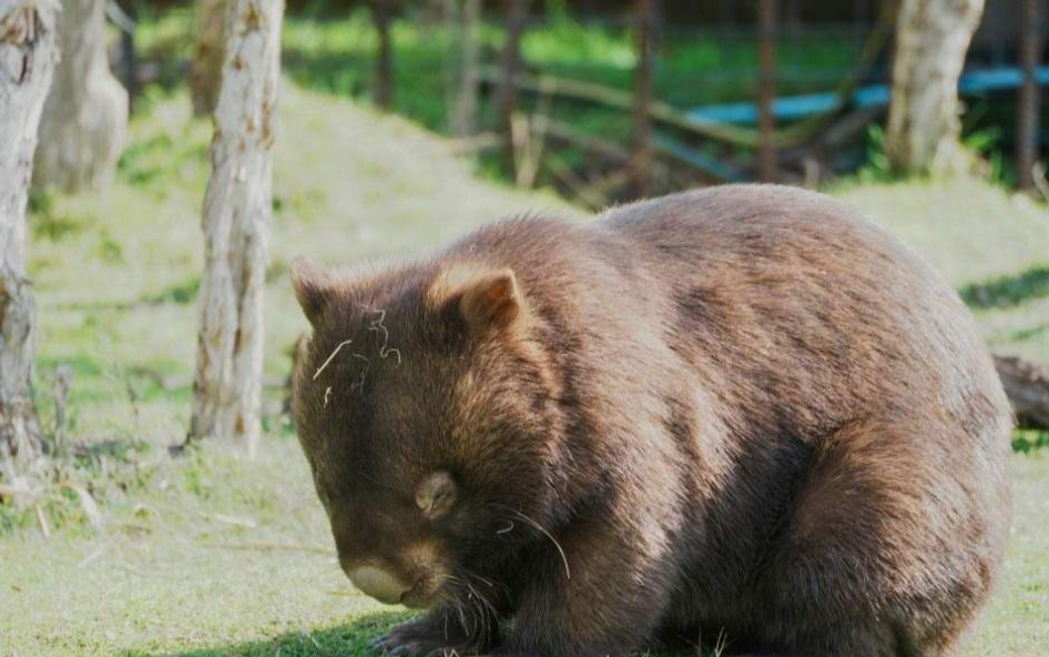 202512111008-1679700551.png image.png