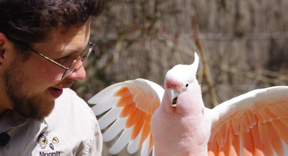 202512111009-2410108863.png image.png