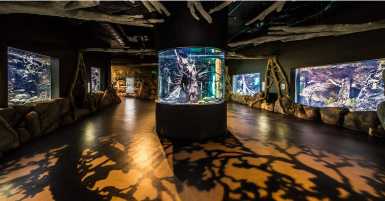 202512111011-1241973831.png image.png