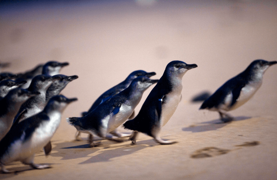 202512111011-1518119067.png image.png