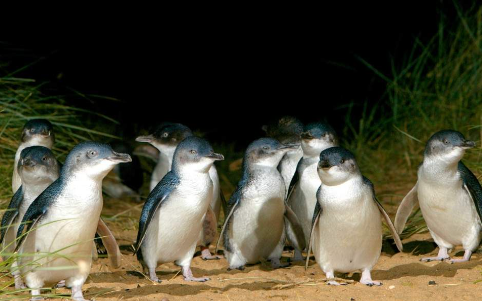 202512111011-5140668161.png image.png