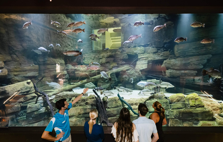 202512111012-1465073943.png image.png