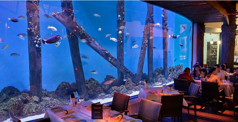 202512111012-6389459320.png image.png