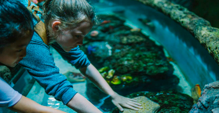 202512111012-7027918901.png image.png