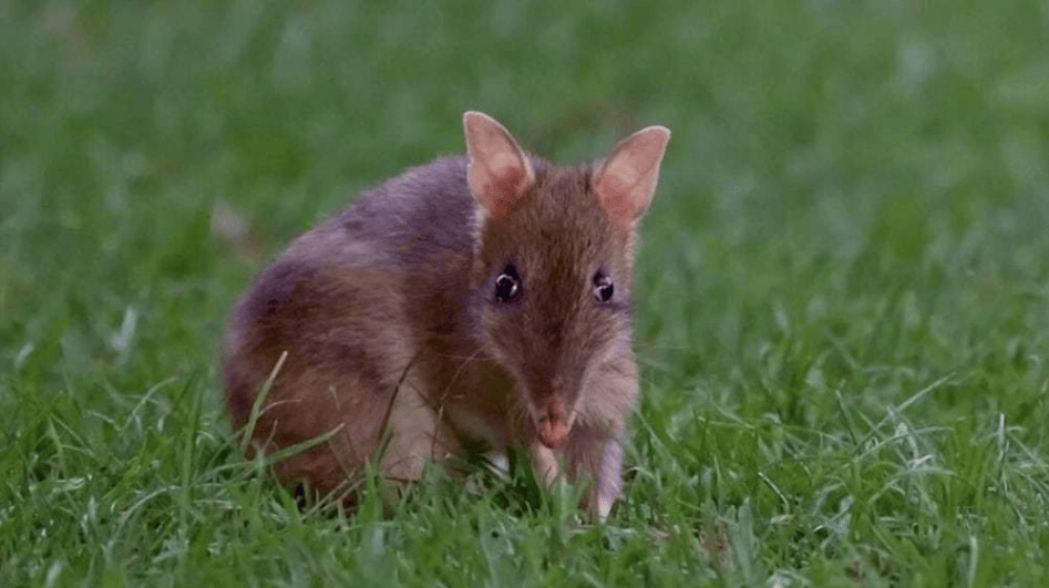 202512111012-9237581384.png image.png