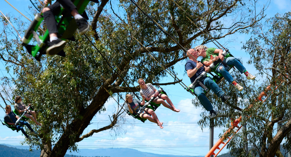 202512111028-4502650532.png image.png