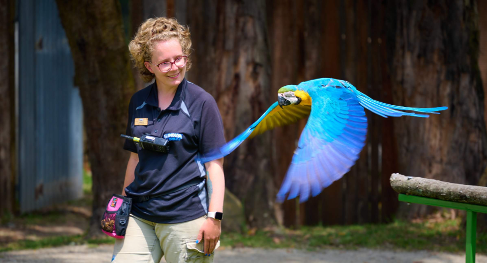 202512111033-8970471904.png image.png