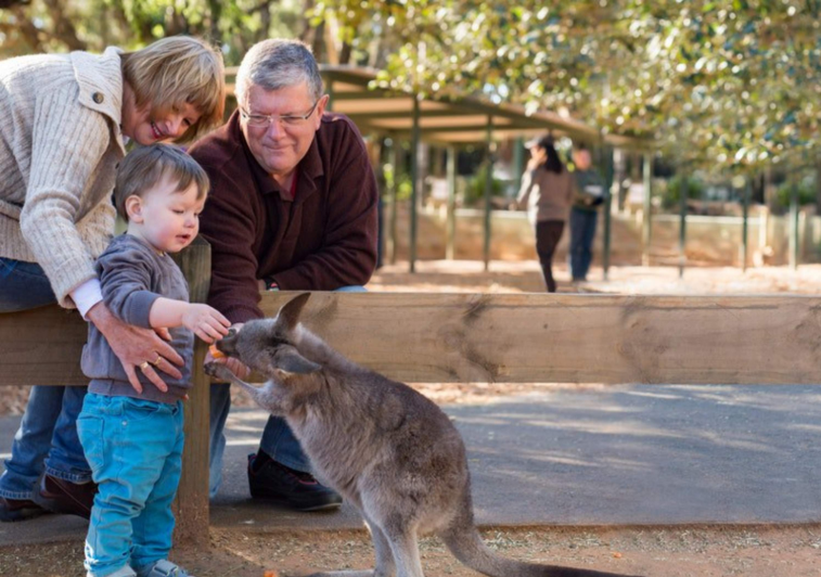 202512111051-5903273871.png image.png