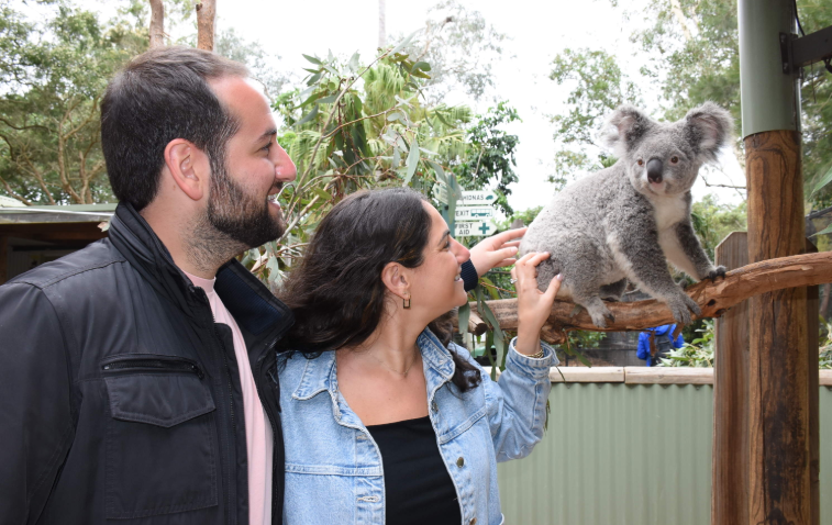 202512111052-7509665094.png image.png