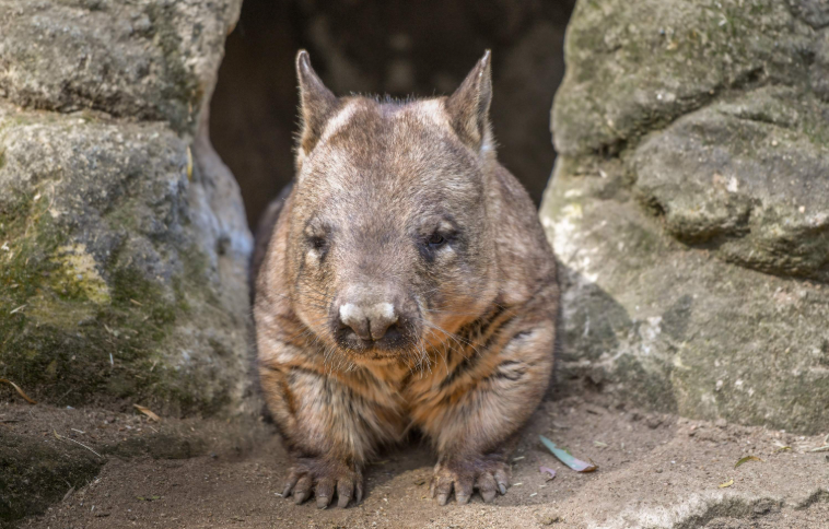 202512111053-1851137813.png image.png