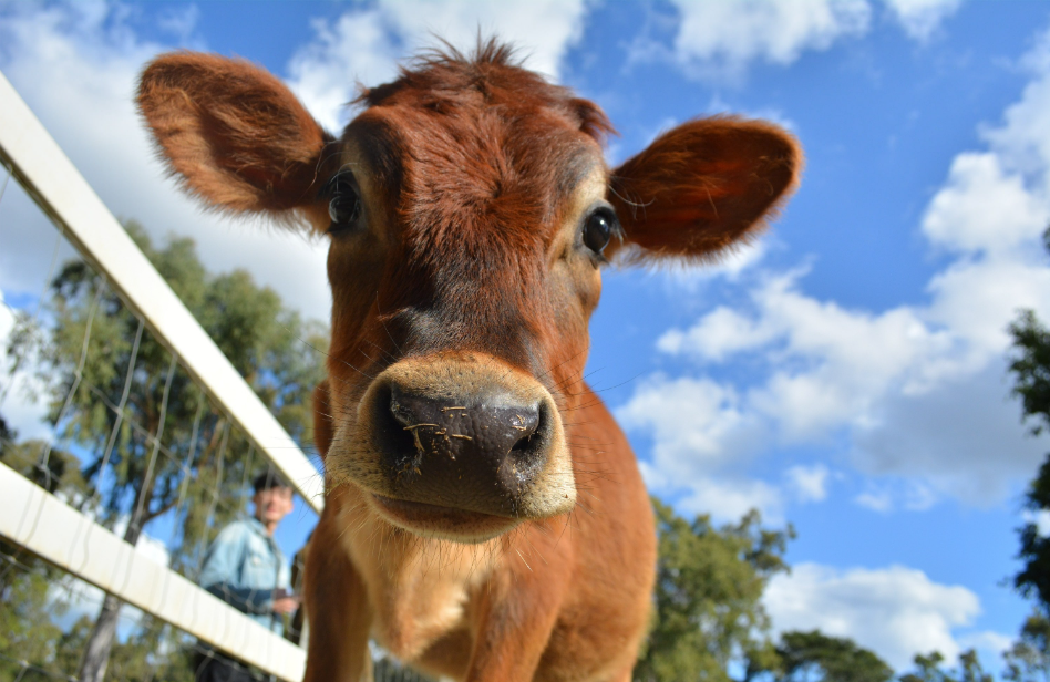 202512111058-1671171712.png image.png