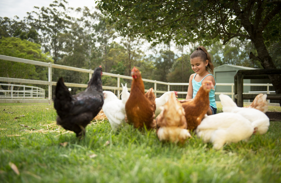 202512111058-5390779027.png image.png