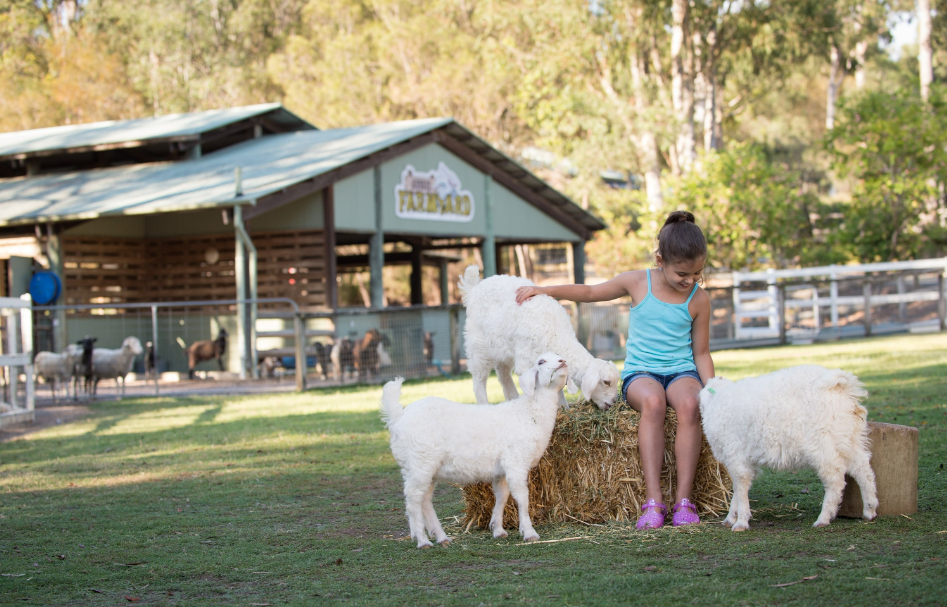 202512111058-8188549906.png image.png