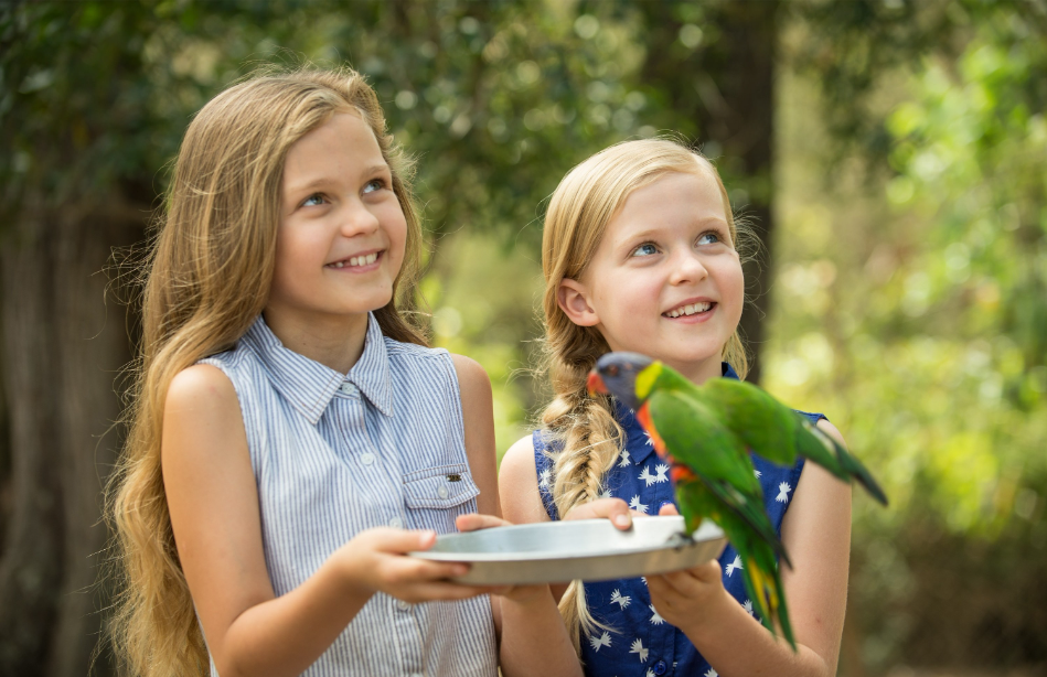 202512111100-8318902815.png image.png