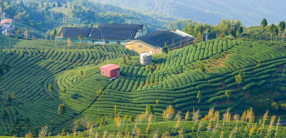 202512111101-7700042112.jpg undefined.jpg