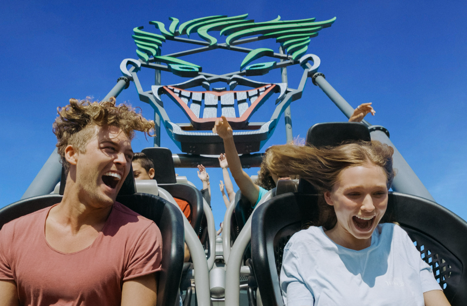 202512111102-3793488683.png image.png