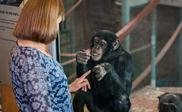 202512111124-1789937028.png image.png