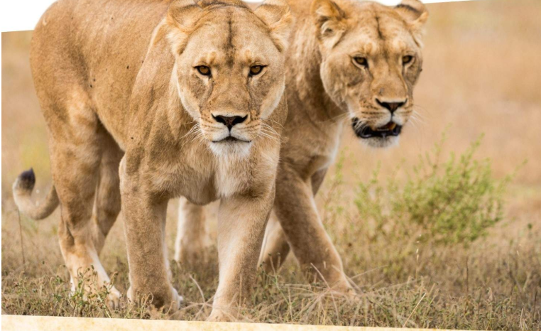 202512111124-2952227454.png image.png