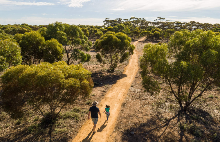 202512111124-5152041421.png image.png