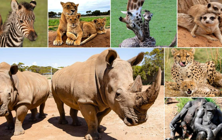 202512111125-3658863354.png image.png