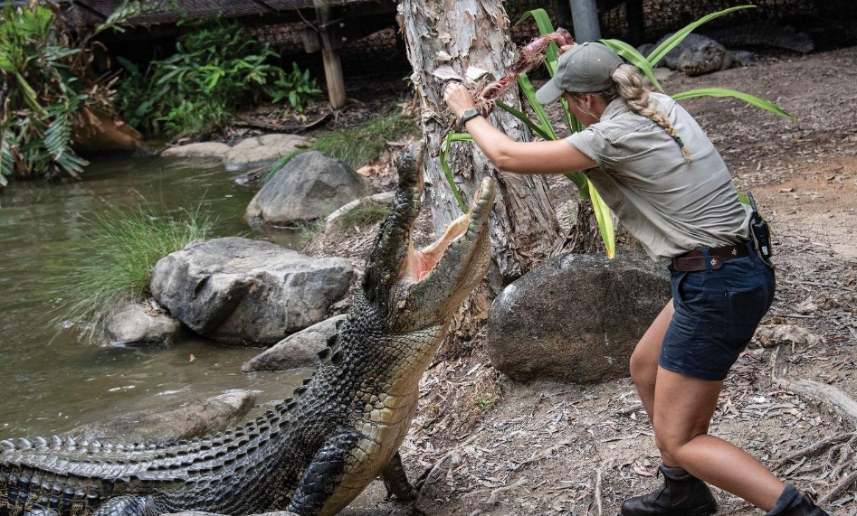 202512111148-4657171976.png image.png