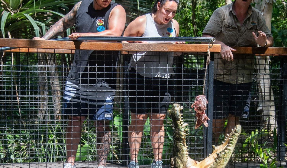 202512111149-2443713144.png image.png