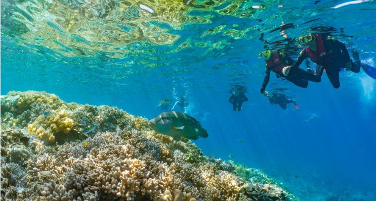 202512111322-9039675124.png image.png