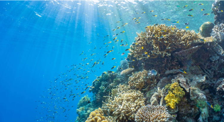 202512111323-6369128871.png image.png