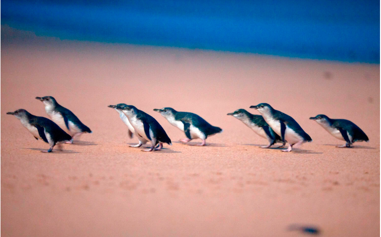 202512111336-4736829691.png image.png