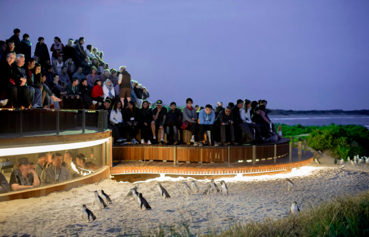 202512111336-8399062085.png image.png