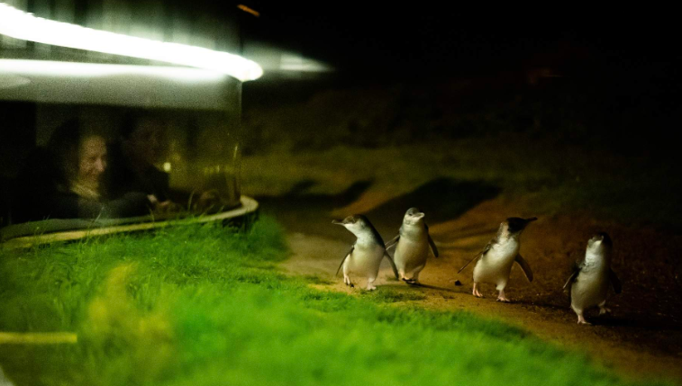 202512111337-2196002382.png image.png