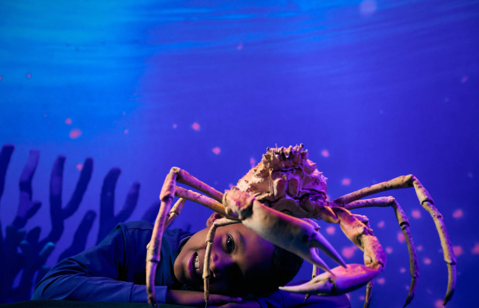 202512111359-6282279621.png image.png