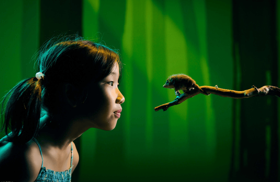 202512111359-9277511272.png image.png