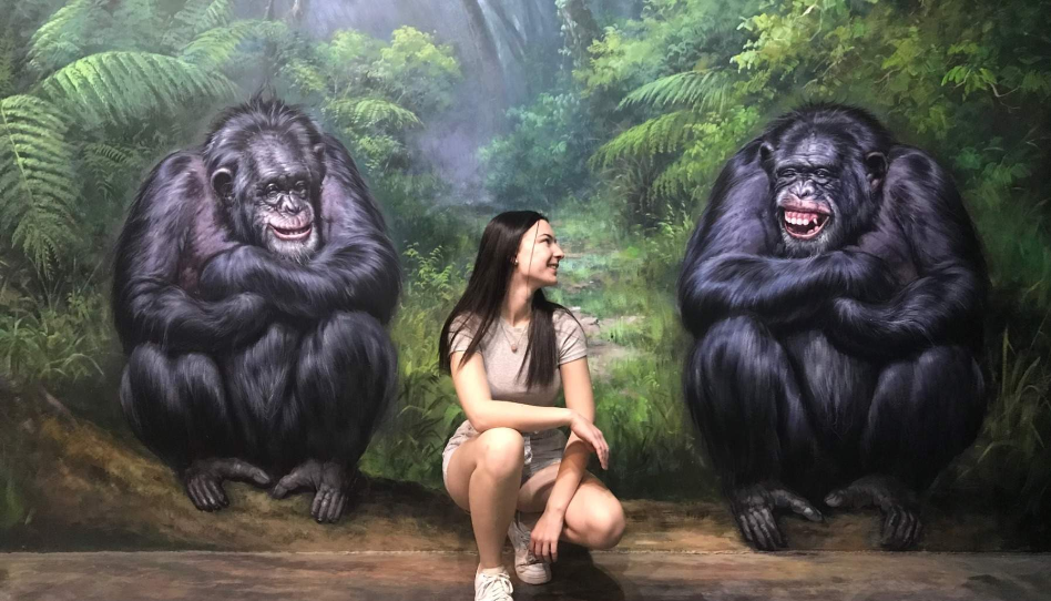 202512111413-3925911274.png image.png