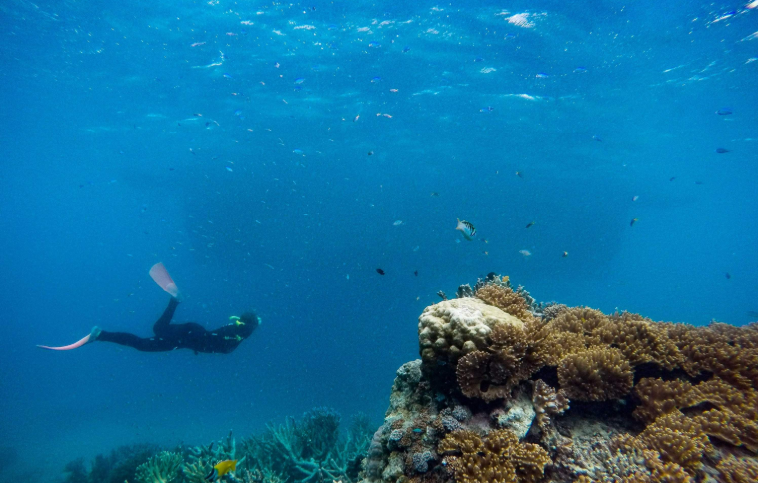 202512111415-2151696464.png image.png