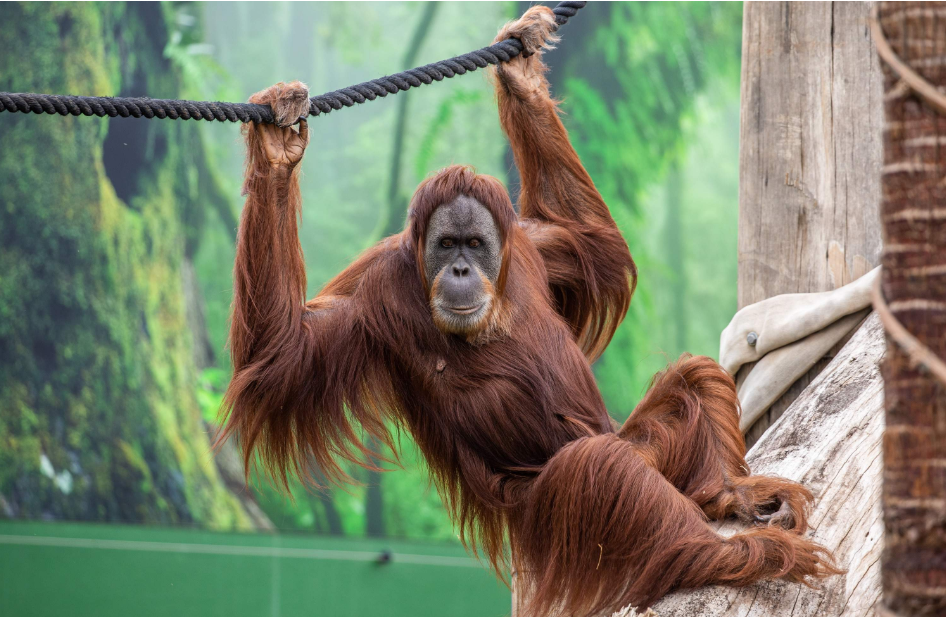 202512111420-1828121862.png image.png