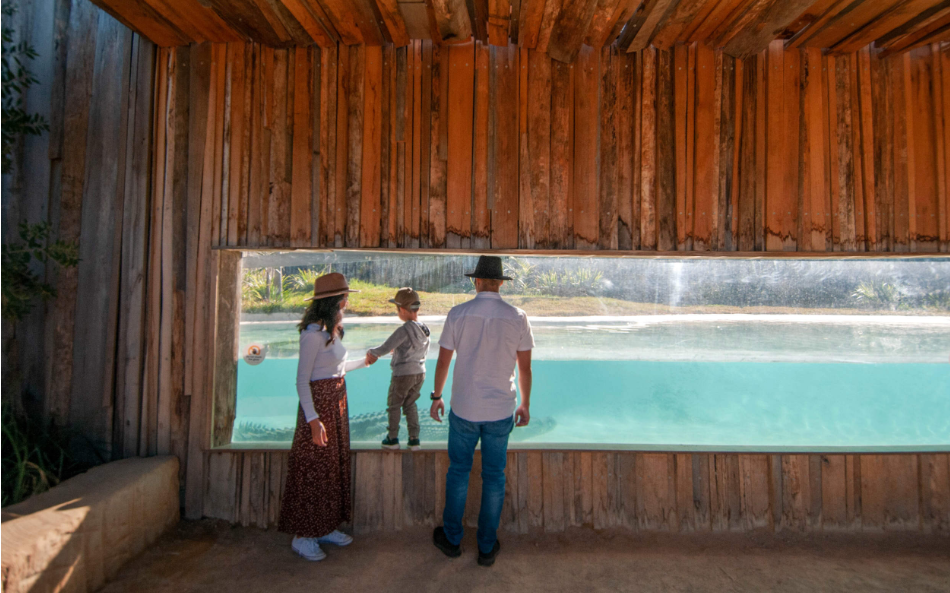 202512111420-3974181715.png image.png