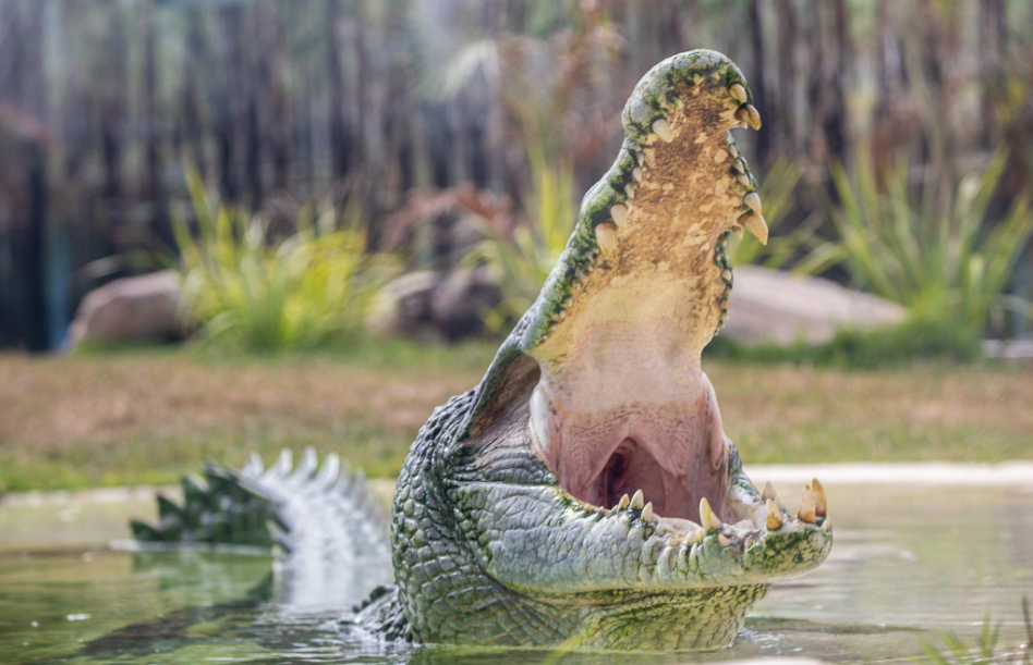 202512111420-5748311057.png image.png