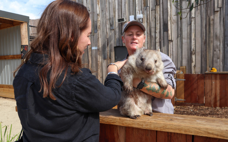 202512111421-7170812118.png image.png