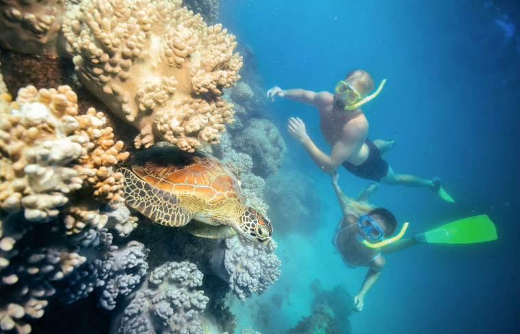 202512111430-7974248095.png image.png