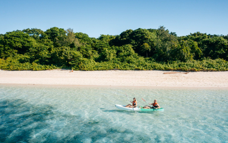 202512111431-6307545417.png image.png