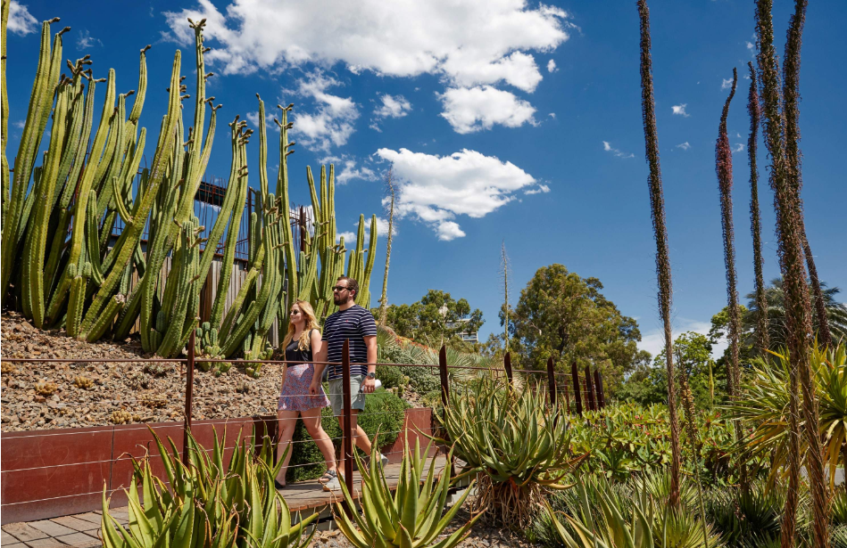 202512111434-2563430773.png image.png