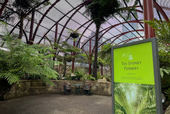 202512111456-3616361022.png image.png