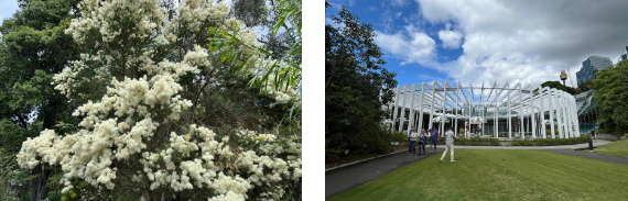 202512111456-8708188839.png image.png