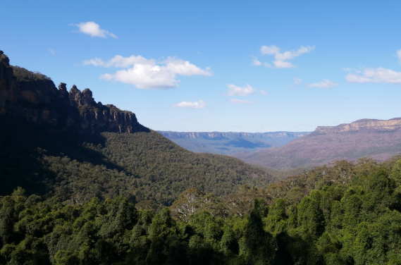 202512111457-7868352312.png image.png