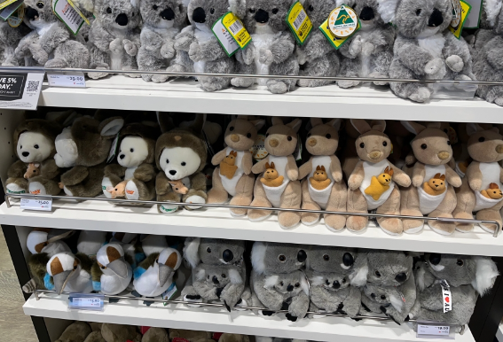 202512111501-8092416664.png image.png