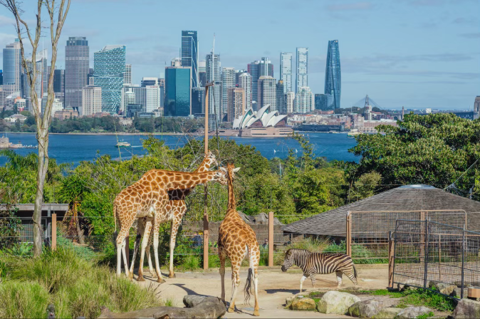 202512111521-4517180168.png image.png